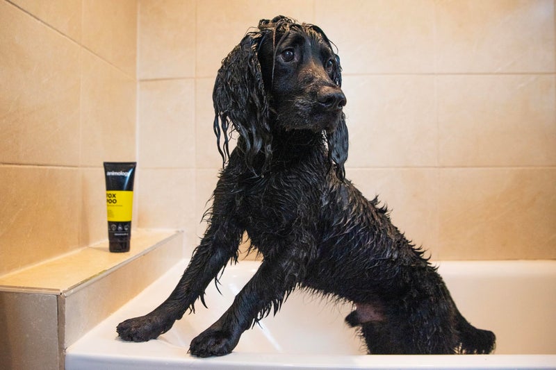 Animology Dog Fox Poo Shampoo 250ml - Image 5